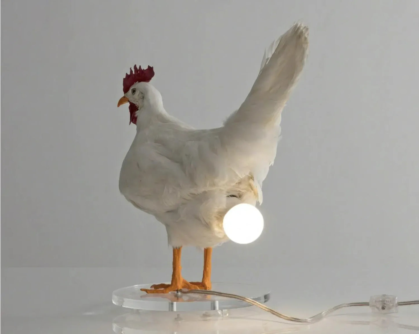🐓💡Hilarious Chicken Egg Lamp