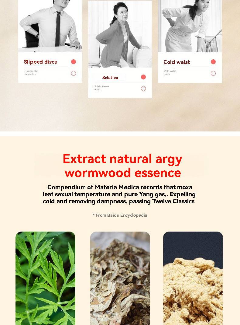 Mugwort Heat Compress Waist Support Belt