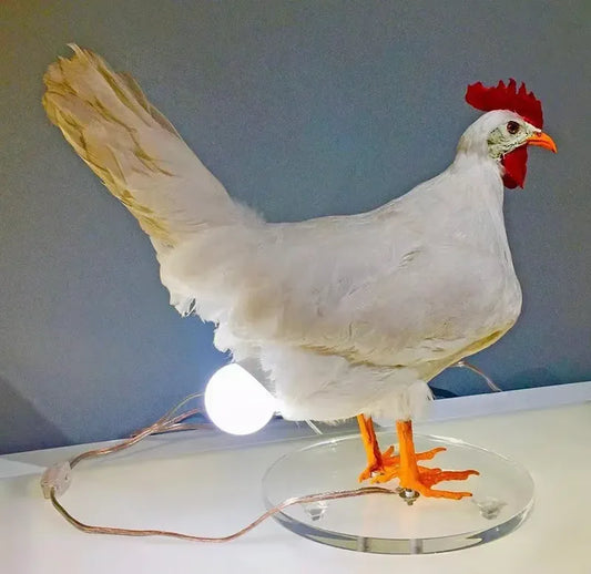 🐓💡Hilarious Chicken Egg Lamp